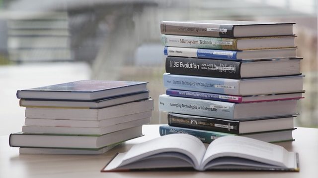 10 Manuales en PDF para escribir un ensayo académico